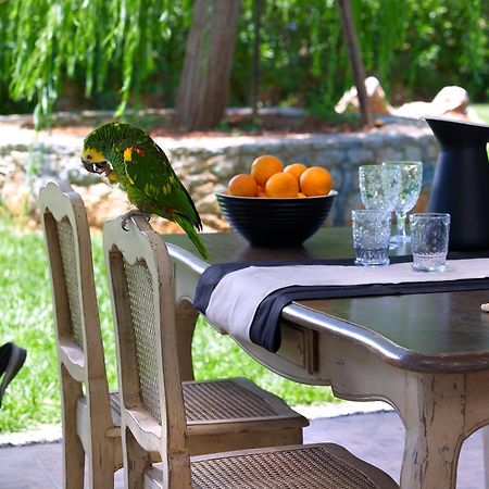 Sunvillage Malia Boutique Hotel And Suites Екстер'єр фото