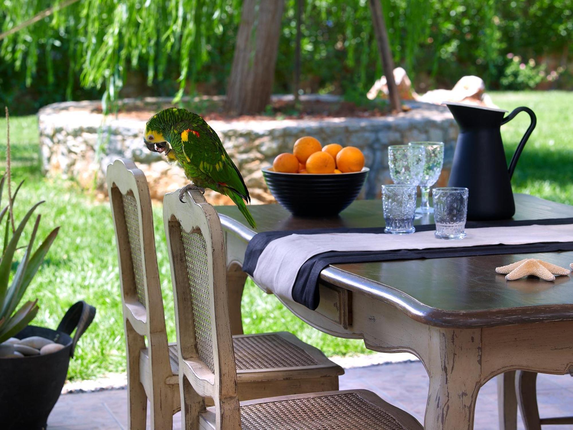 Sunvillage Malia Boutique Hotel And Suites Екстер'єр фото