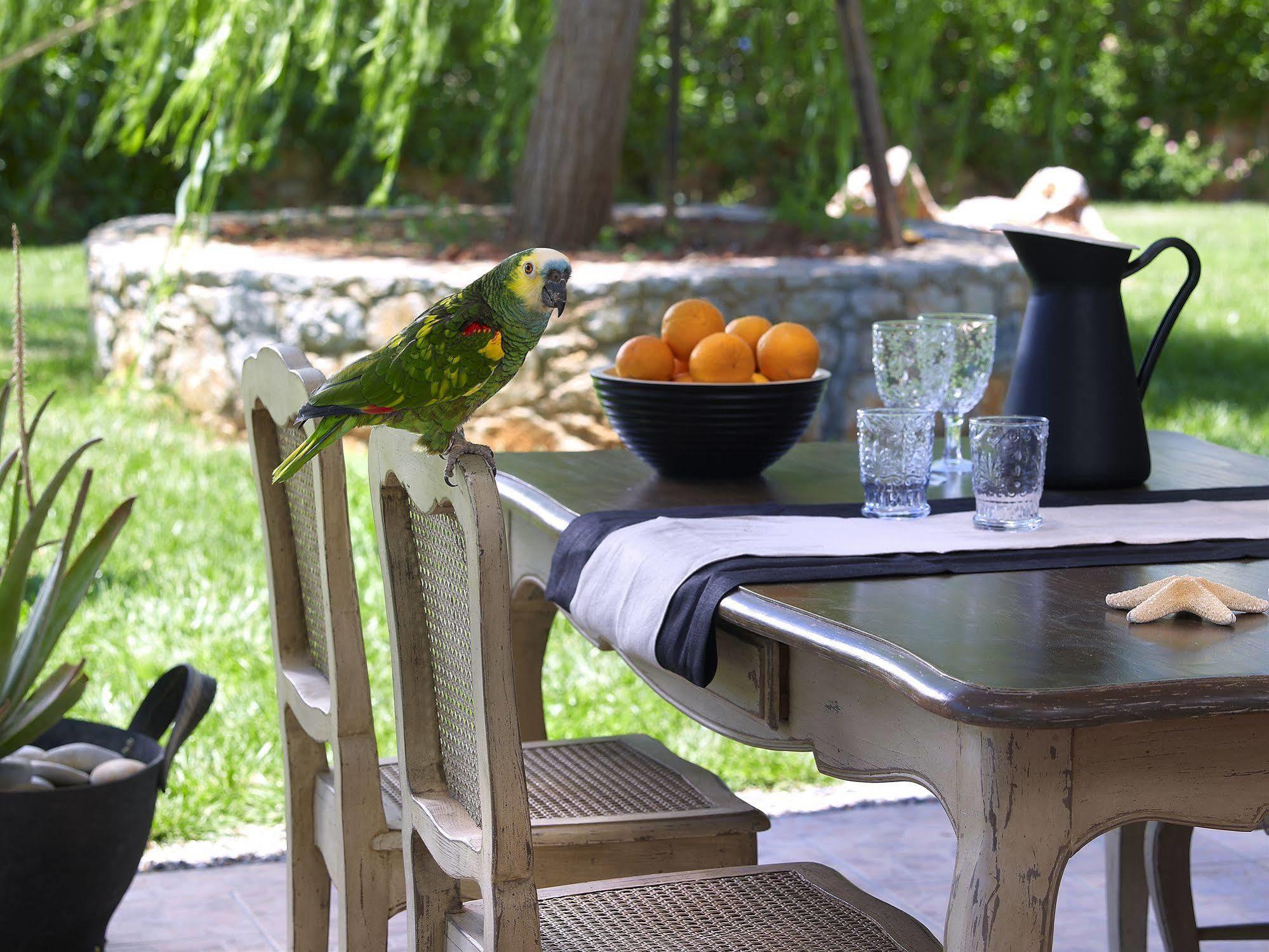Sunvillage Malia Boutique Hotel And Suites Екстер'єр фото